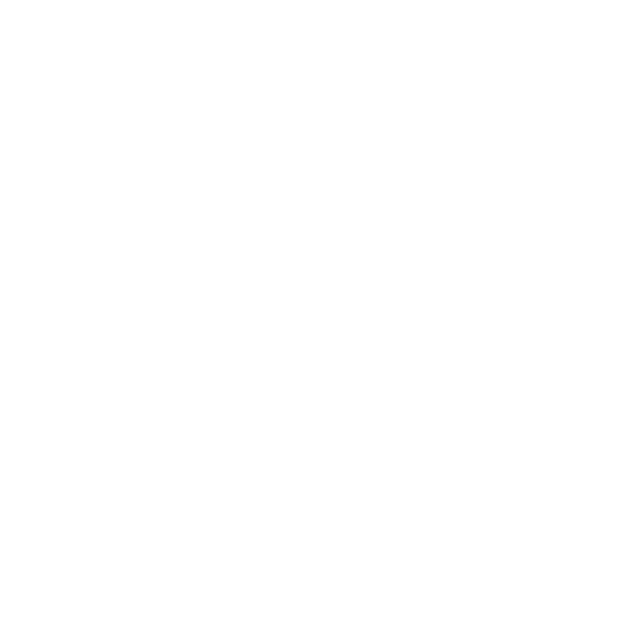 202_1-decor-1